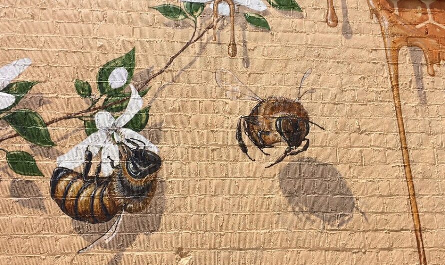 Mądrość pszczoły