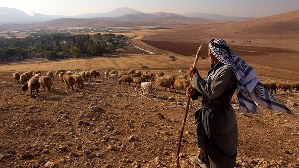 Pasterstwo – najczęściej wspominana w Biblii profesja
