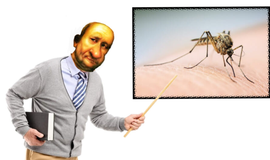 Wykład