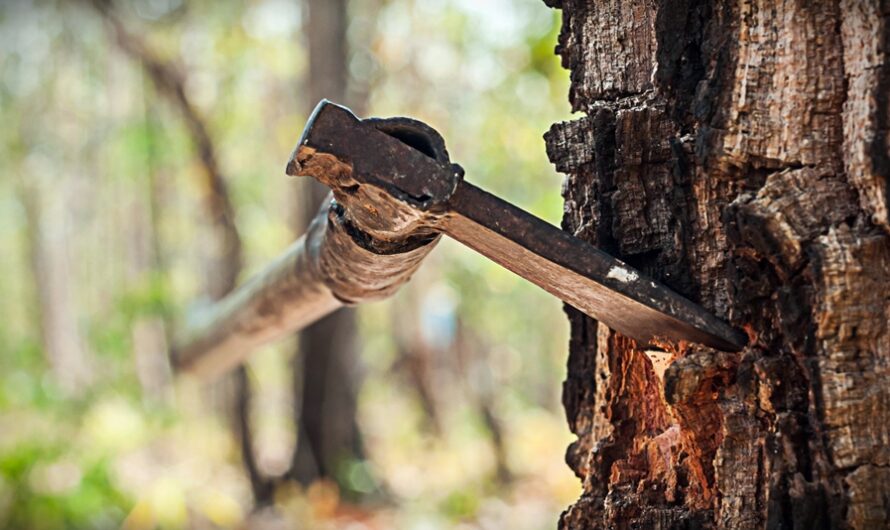 Wyborowe skojarzenia