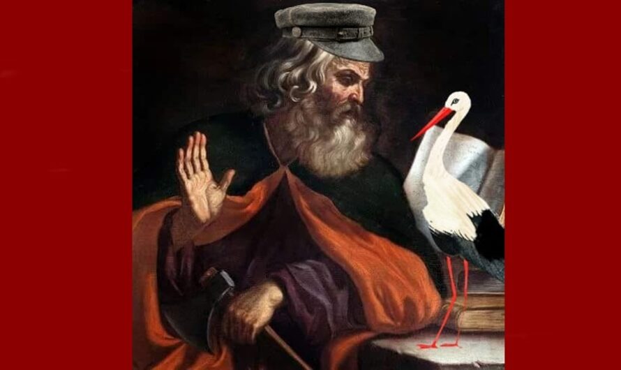 Wybory do nieboparlamentu