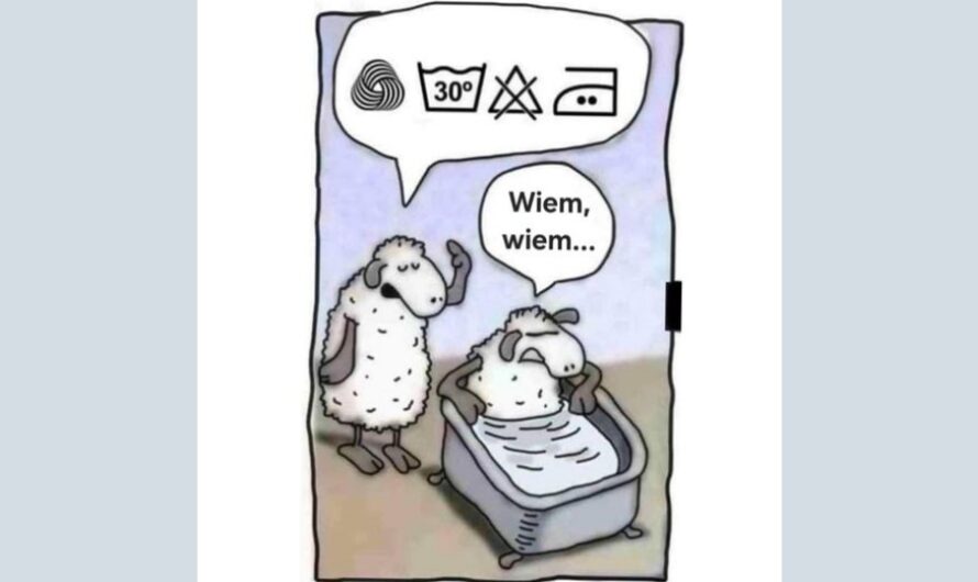 Żebyś nie żałował