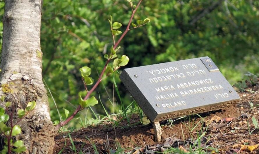 Dzień polskich Drzew Sprawiedliwości