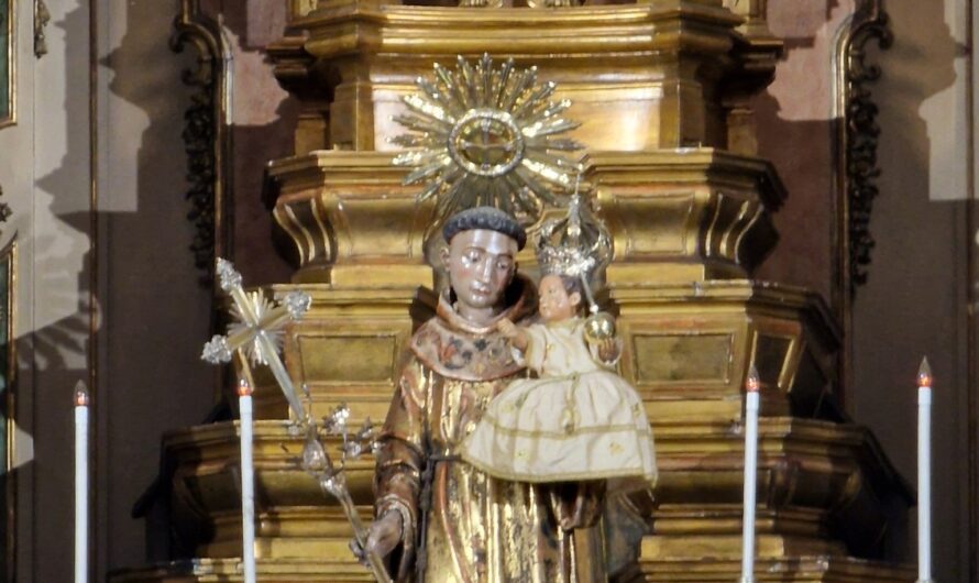 Antoni – obalanie mitu